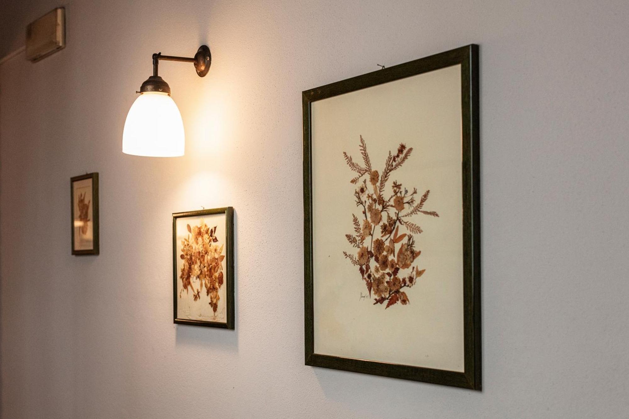 Agriturismo Il Palazzone Montegalda Eksteriør bilde